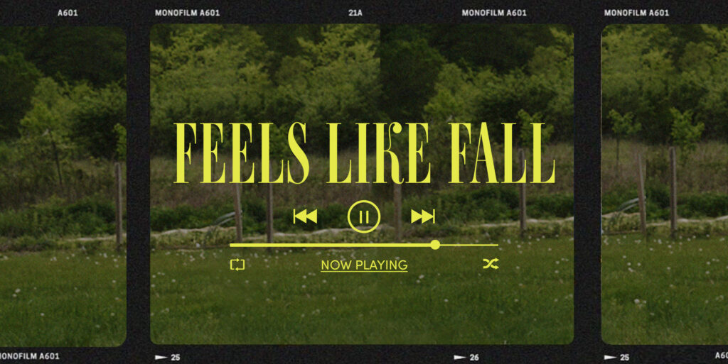 Feels Like Fall